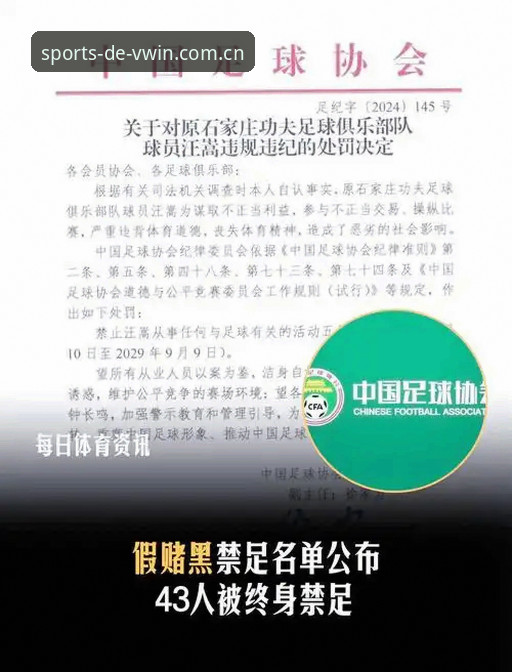17名足坛终身禁足全解析：从俱乐部高管到球员的3大警示信号